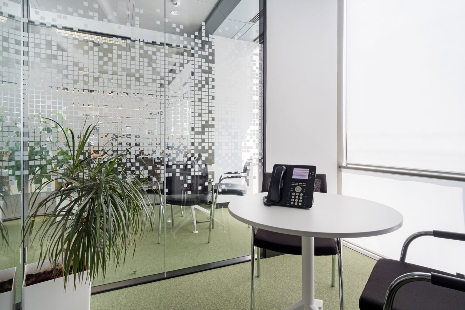 Plantas en la Oficina Kaspersky - Ivory Diseño, reformas, interiorismo, construcción, gestión de espacio